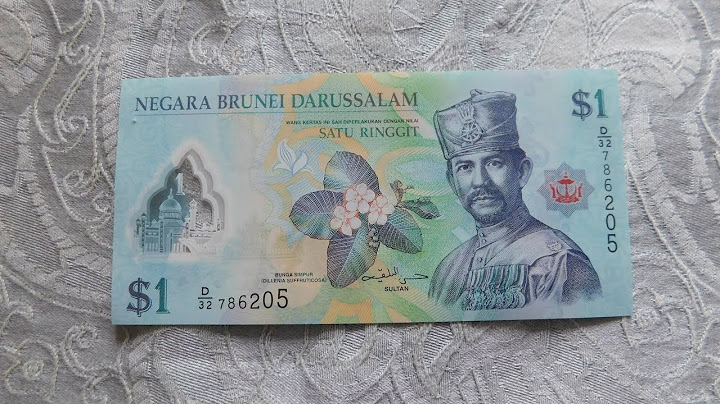 1 đô brunei bằng bao nhiêu tiền việt năm 2024