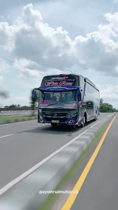 Story'wa Bus Po Haryanto WHITE ROSES