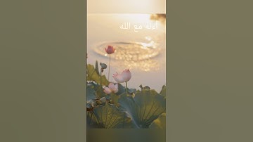 أمن جعل الارض قرارا #احمد النفيس #سورة النمل #قرآن
