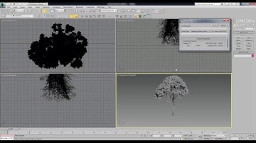 Video Configure use paths