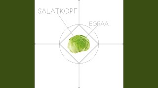 Kapitän