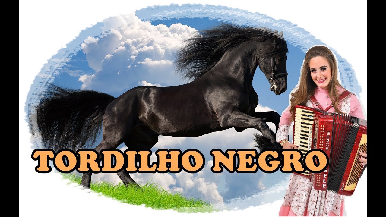 TORDILHO NEGRO - GISELE RISSI