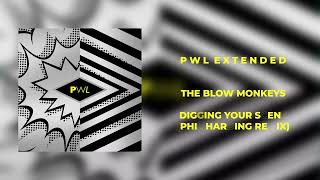 The Blow Monkeys - Digging Your Scene (Phil Harding Remix)