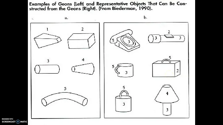 Cognitive Psychology: Object Recognition