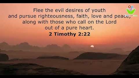 flee the evil desires of youth #bible quotes #christ #proverbs #thinkcreatelearn