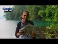 Big Tilapia Catch - Wild Tilapia Fish Hunting