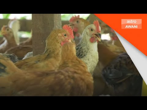 KPKM Jamin Bekalan Stabil Pengeluaran Atasi Permintaan