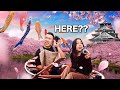 Going to the 1 cherry blossom spot in japan  travel gone vong