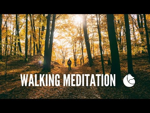 15 Min | Walking Mindfulness Meditation | Air Element