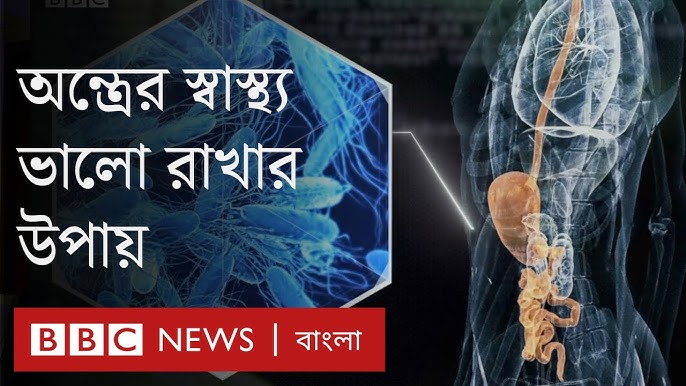 Arman seks videolar Togli mushuk xxx