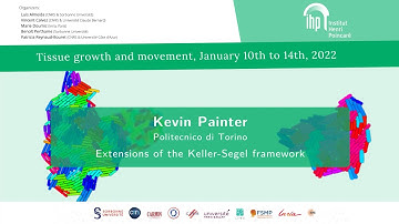 The impact of flow and flow-oriented swimming on the capacity to aggregate