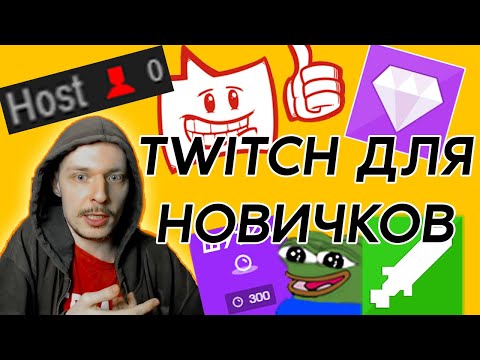 Twitch для новичков. Что нужно знать зрителям и стримерам.