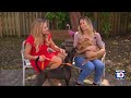 Paw Patrol Animal Rescue finds puppies in Red Land