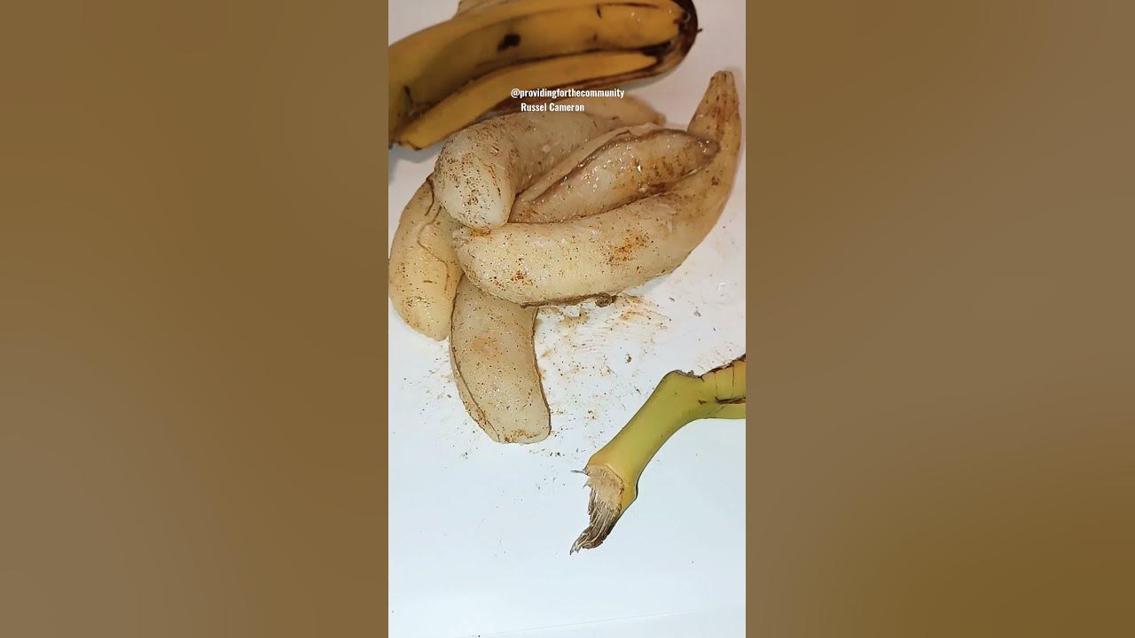 A bunch of lab bananas YouTube