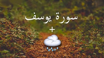 سورة يوسف - وديع اليمني [مع صوت مطر]