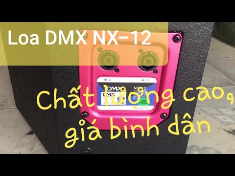 Video Loa DMX NX-12 hàng Trung Quốc loại 1 - youtube