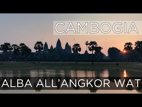 Video: L'elefante Cavalca Ad Angkor Wat, In Cambogia, Per Fermarsi