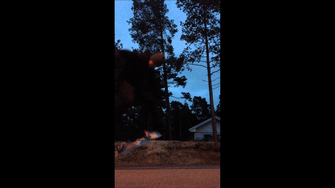 Bild från Emil Gör SJUKT Skate-Trick!!!