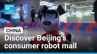 Thumbnail for Customers fill in to Beijing's new consumer robot shopping centre • FRANCE 24 English