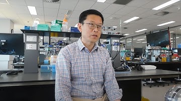 Master of Bioinformatics