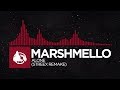 [Trap] - Marshmello - Alone (Streex Remake)