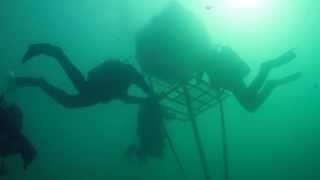 Diving in Blue Lake, Russia - Дайвинг на Голубом озере