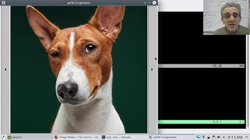 CS2 Lesson 13 - Extending Widgets by overriding draw and handle methods