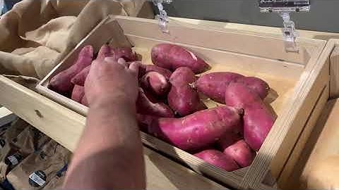 Demonstration video of my holographic gesture controlled display.