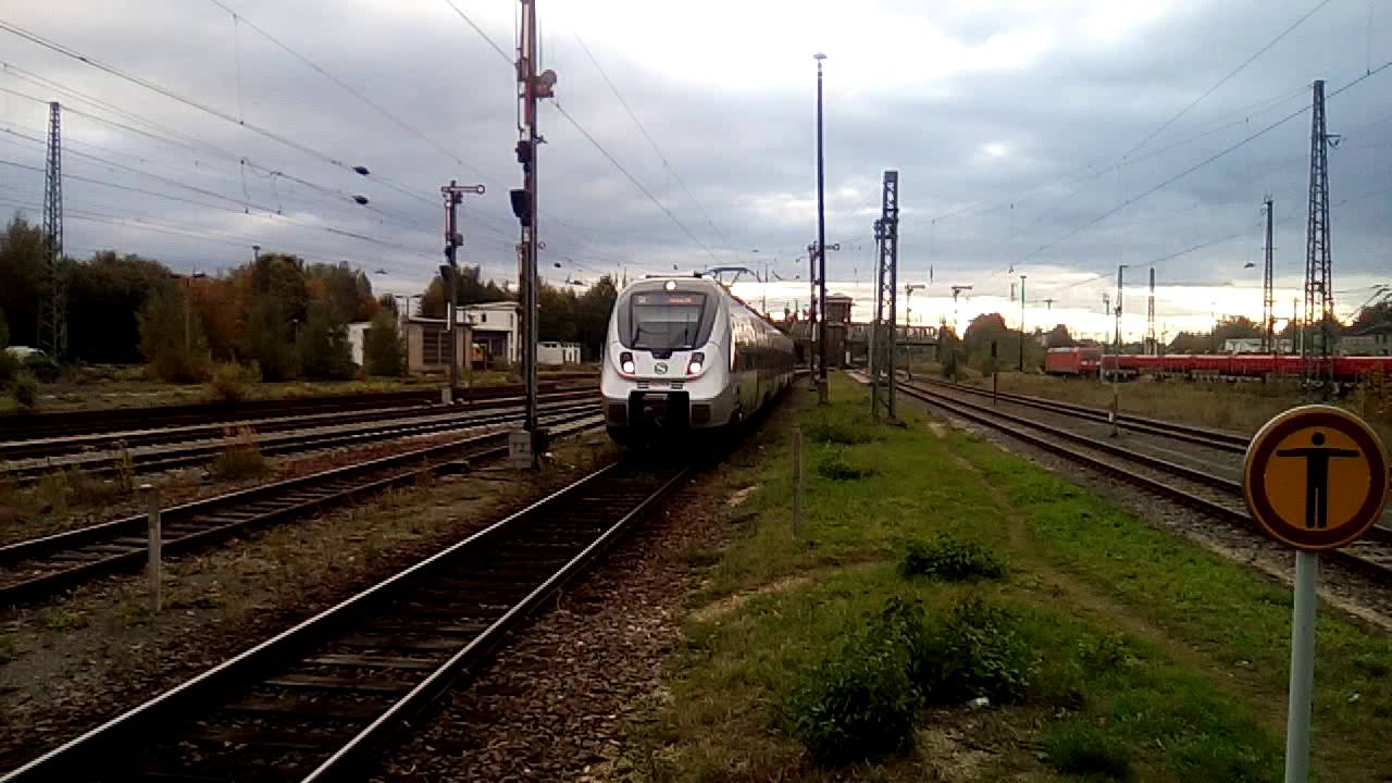 ET442 ( Hamsterbacke) bei der Einfahrt in Zwickau Hbf
