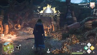 Follow the trial of coins - A Thief in the Night - The Irondale Pilferer - Hogwarts Legacy