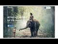 How to Build Modern Website Using HTML and CSS | Modern Website Design With HTML & CSS