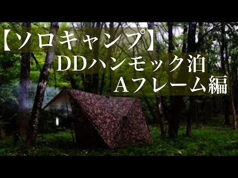 静寂と雨の森【バックパックソロキャンプ】