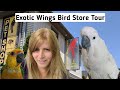 Bird Store Tour at Exotic Wings Bird Store | Handfed Baby Birds - Conures, Cockatiels and More