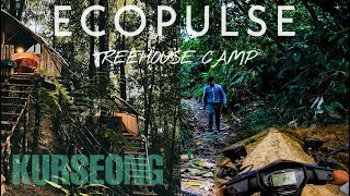 TREEHOUSE JUNGLE CAMPING IN WEST BENGAL || ECOPULSE ADVENTURE || KURSEONG