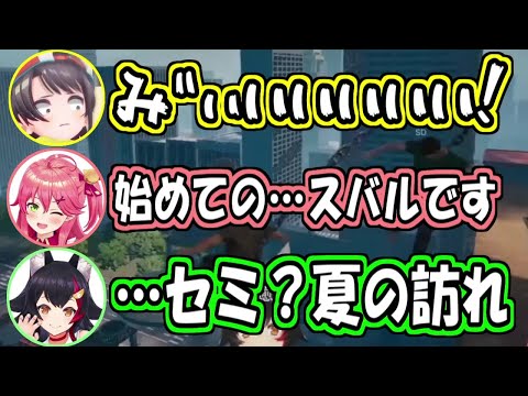 ほわぁに続く絶叫芸、みﾞぃいいいい!を生み出す大空スバル【大空スバル/さくらみこ/大神ミオ】
