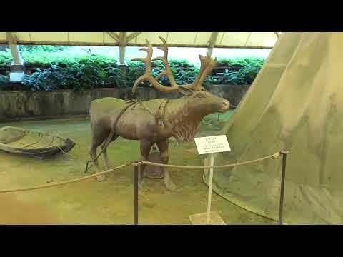 リトルワールド　フランス～イタリア～動物飼育～テント村