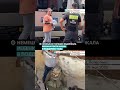 Немецкая полиция задержала ребенка после акции в поддержку Газы