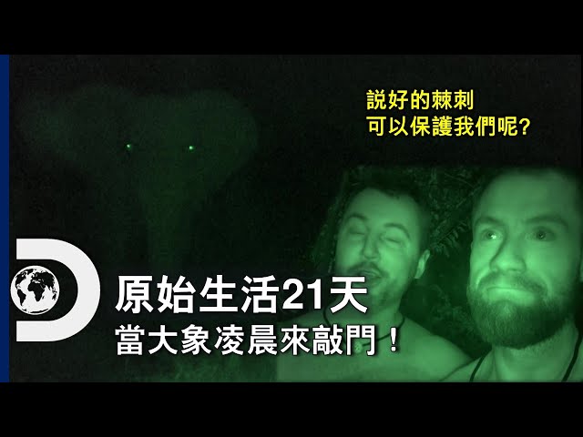 一個令人男忘的今宵！溫暖的野外小屋被戰象光顧啦！《原始生活21天》