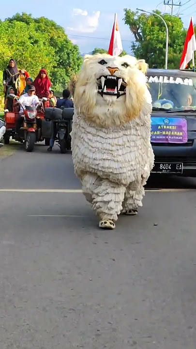 CAN MACANAN SALTO ‼️🔥✌ #shorts #canmacanan #barongan #atraksi