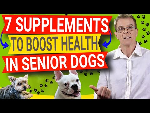 Video: De 7 beste supplementen voor oudere honden