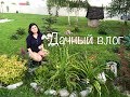 Дачный влог.  Приехала одна на дачу. Купила цветы.