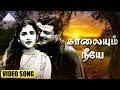 Miniature de la vidéo de la chanson Kaalaiyum Neeye