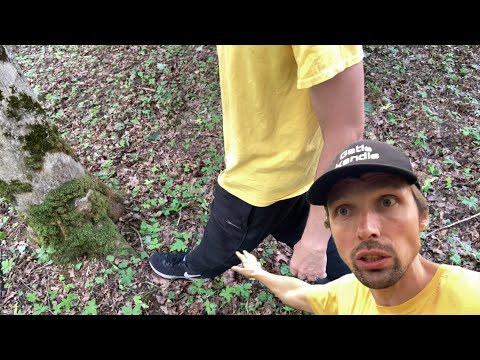 How to walk around the tree the right way