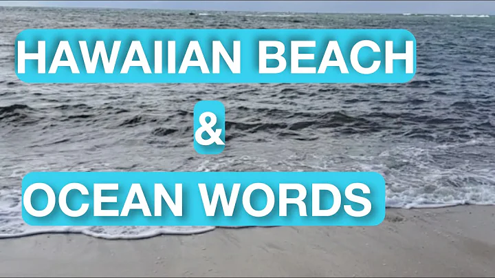 Découvrez les mots de la plage hawaïenne