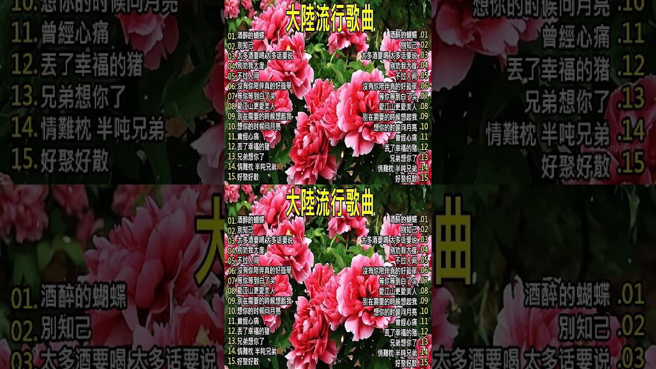 2025中国大陸流行歌曲 不能不听的50首精选歌 🍁🍁2025好听的流行 🎗️🎗️【可可托海的牧羊人 , 你的万水千山,红尘情歌 , 酒醉的蝴蝶 , 等你等了那么久 , 我的快樂就是想你陳雅森演唱】🌺