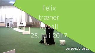 Felix flyball 25072017