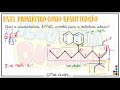 Fenil e benzil  aromticos como ramificaes ramificaes insaturadas e mais