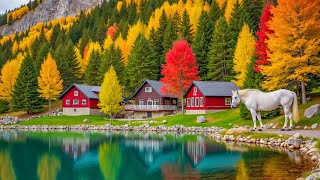 Beautiful Relaxing Music for the Heart & Blood Vessels🍁Calms the Nervous System