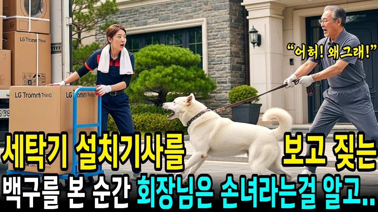 가전제품 설치기사 아가씨를 보고 미친듯이 짖는 백구를 본 순간, 대기업 백만장자회장님은 자신의 잃어버린 손녀라는걸 100% 믿는데