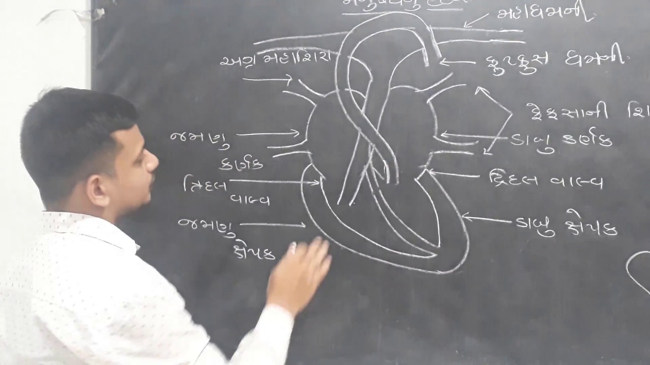 human heart class 10th Biology (મનુષ્યનું હૃદય) by Sahil Patel in